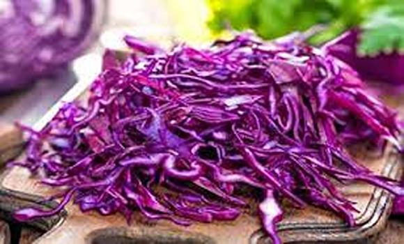 تصویر 1 از خرید و قیمت کلم پیچ بنفش + فروش عمده
